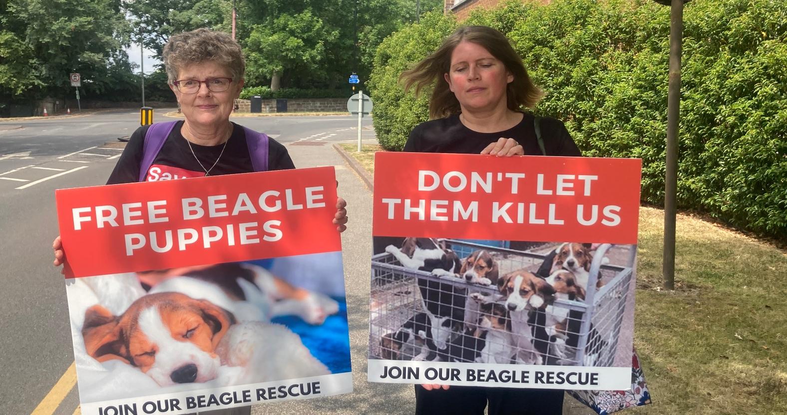 save-the-dogs-protest