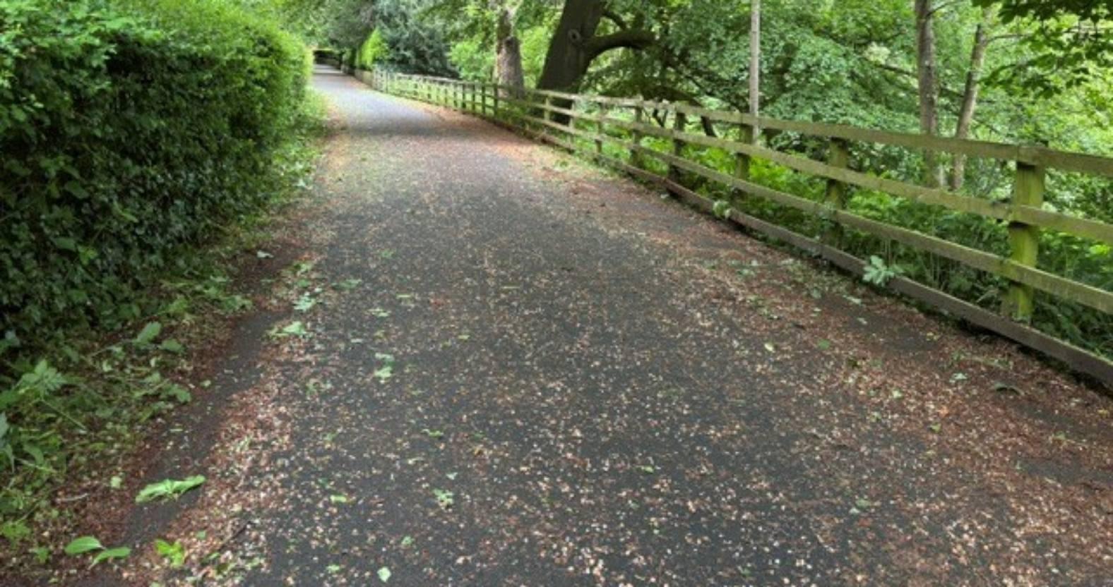 knaresborough-abbeyroad-west