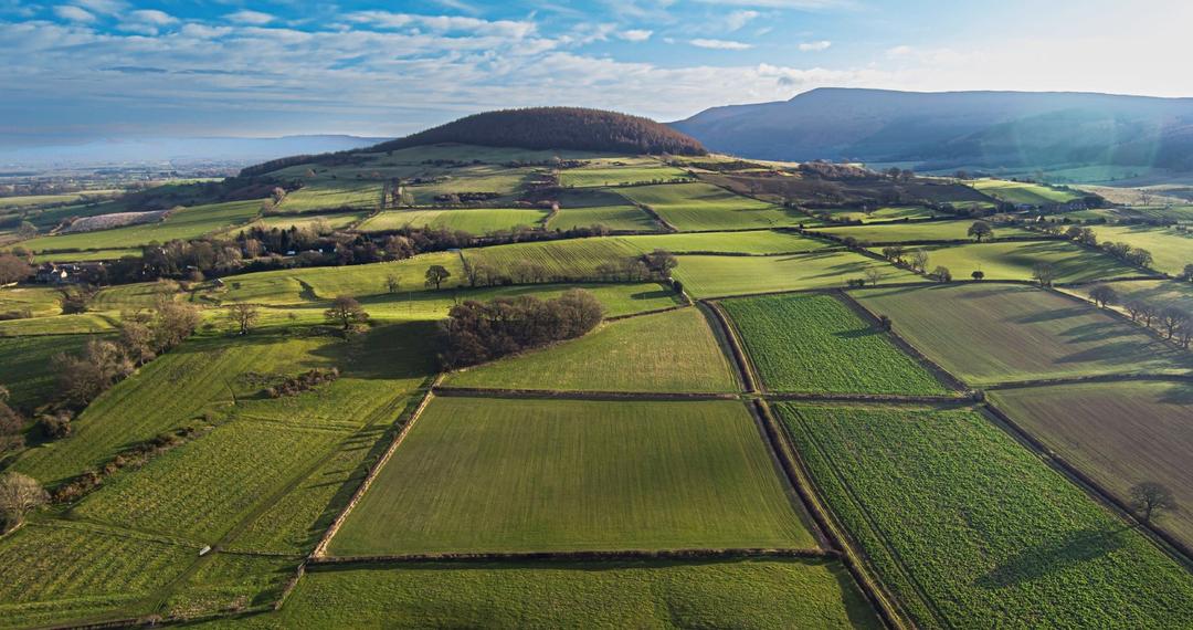local-plan-countryside
