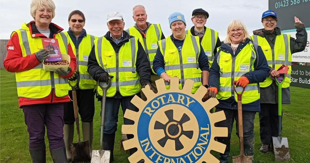 rotary-crocusteam