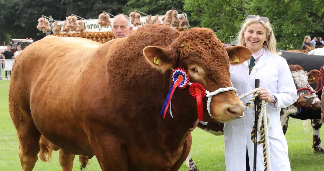 aldboroughshow