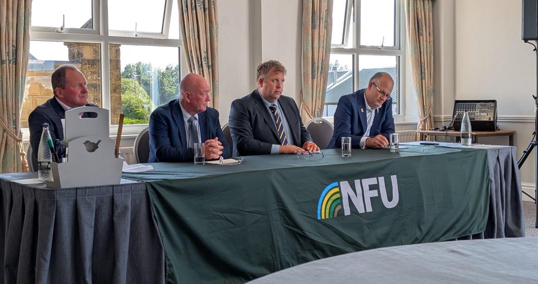 nfupanel