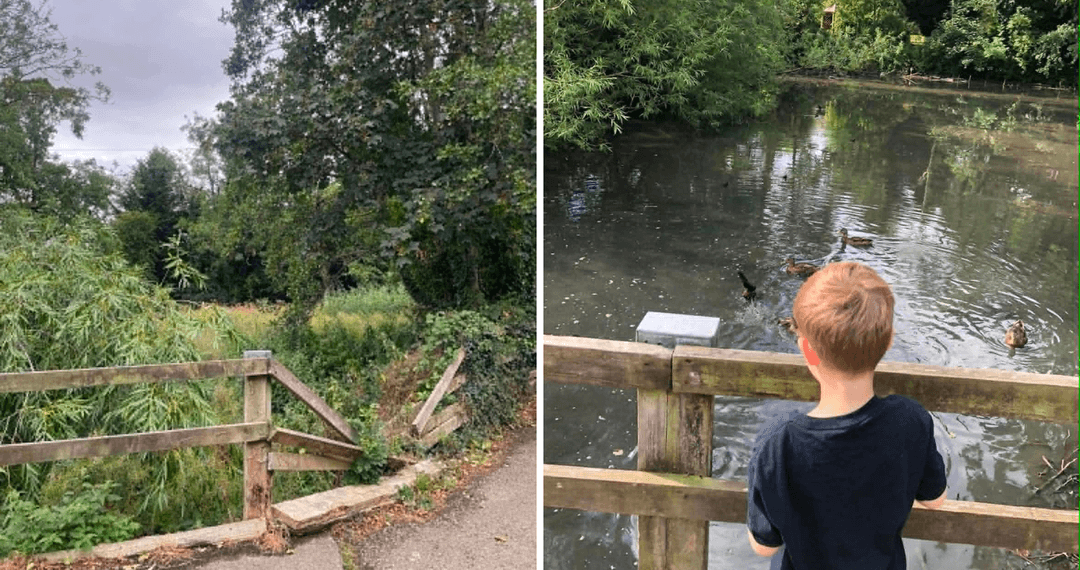 mill-pond-pannal