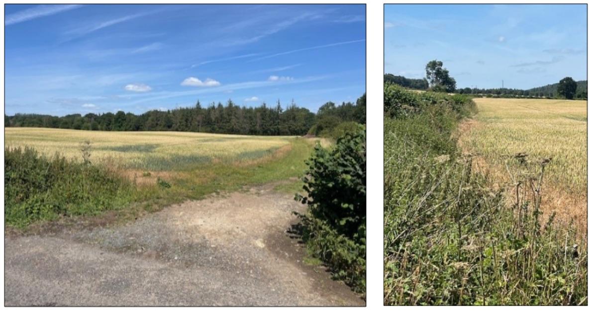 studleyland