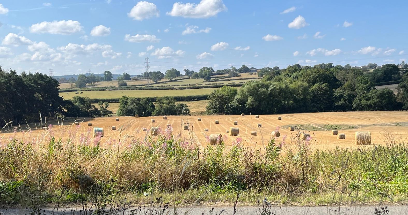 nidderdalegreenway-2-2