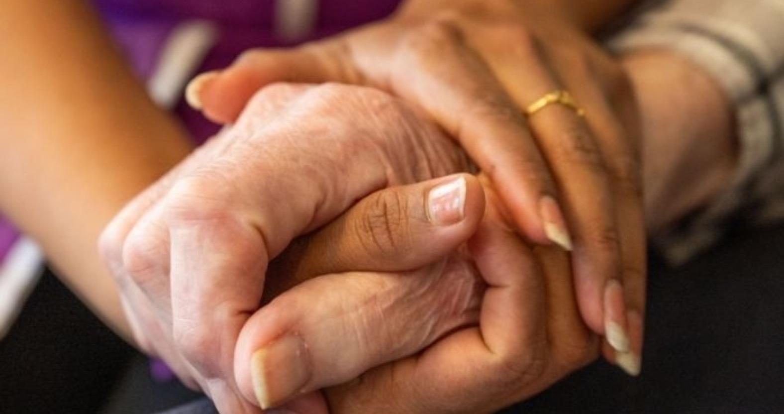 web-harcourt-gardens-hands