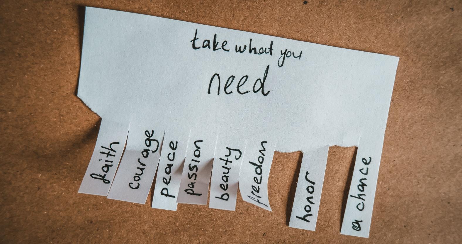 pexels-take-what-you-need-saidpexels-15855220