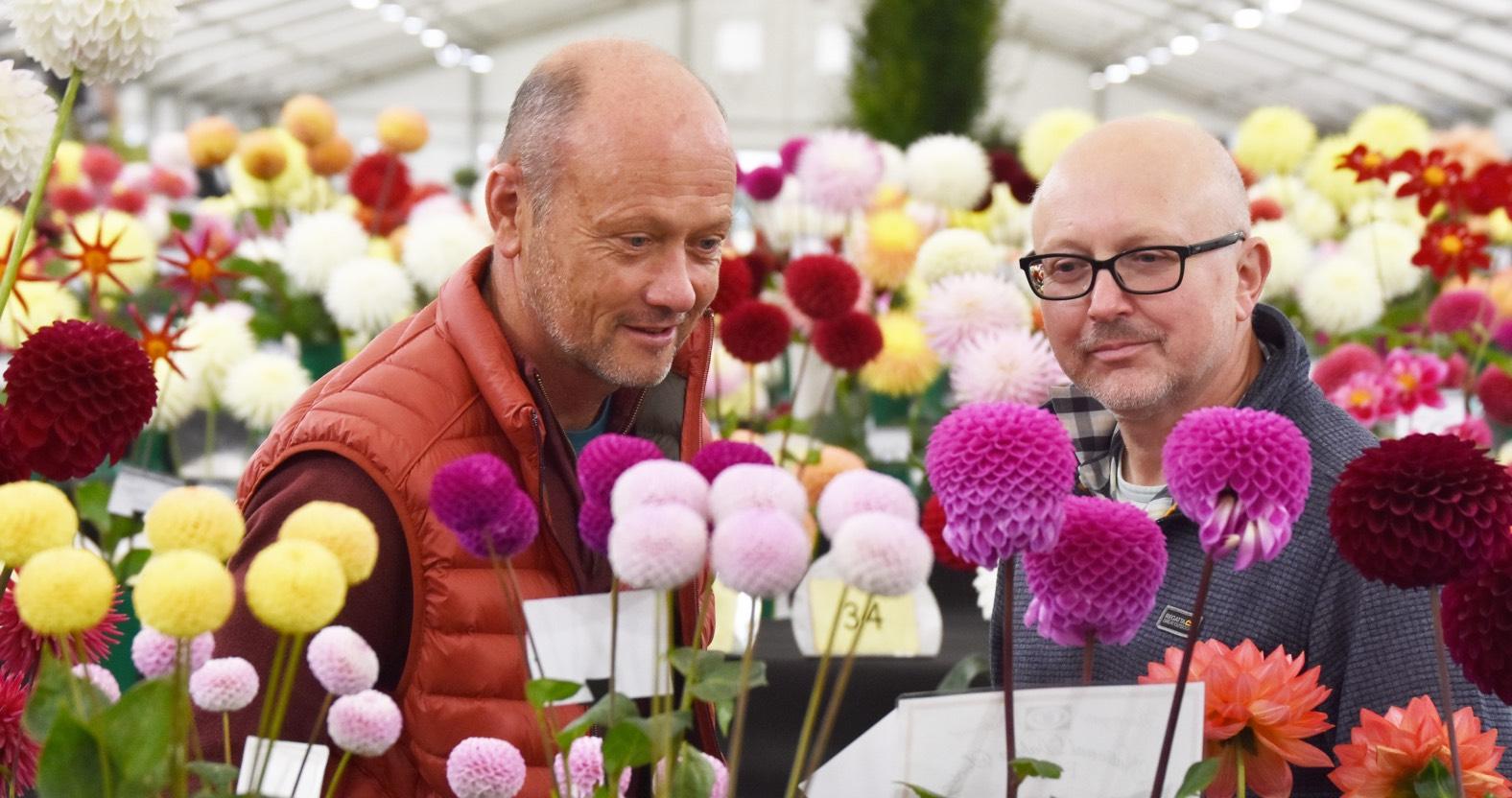 web-harrogate-autumnflower-show