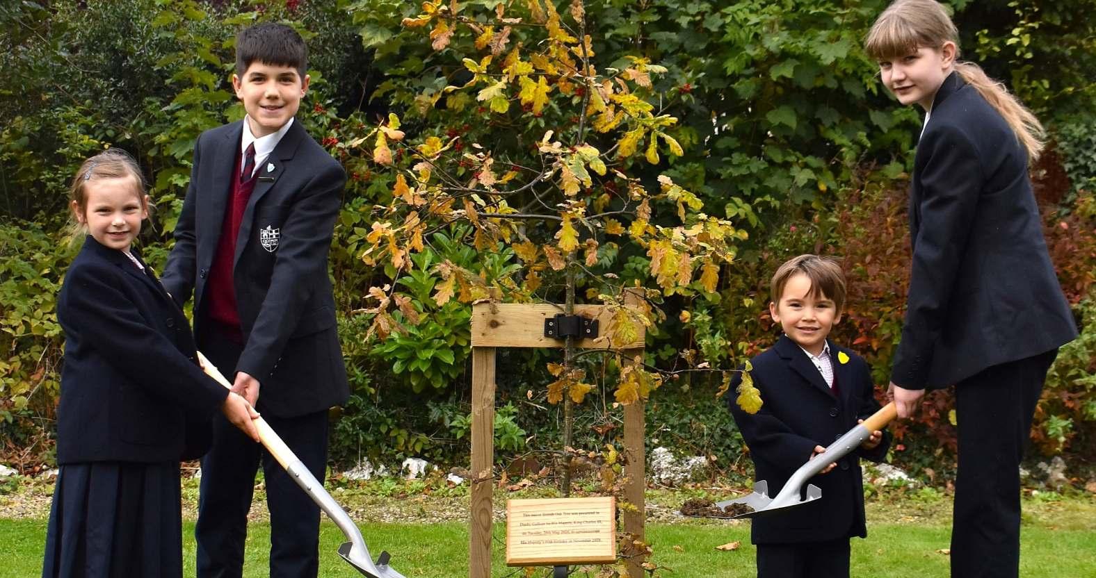 duchycollege-oaktree-planting