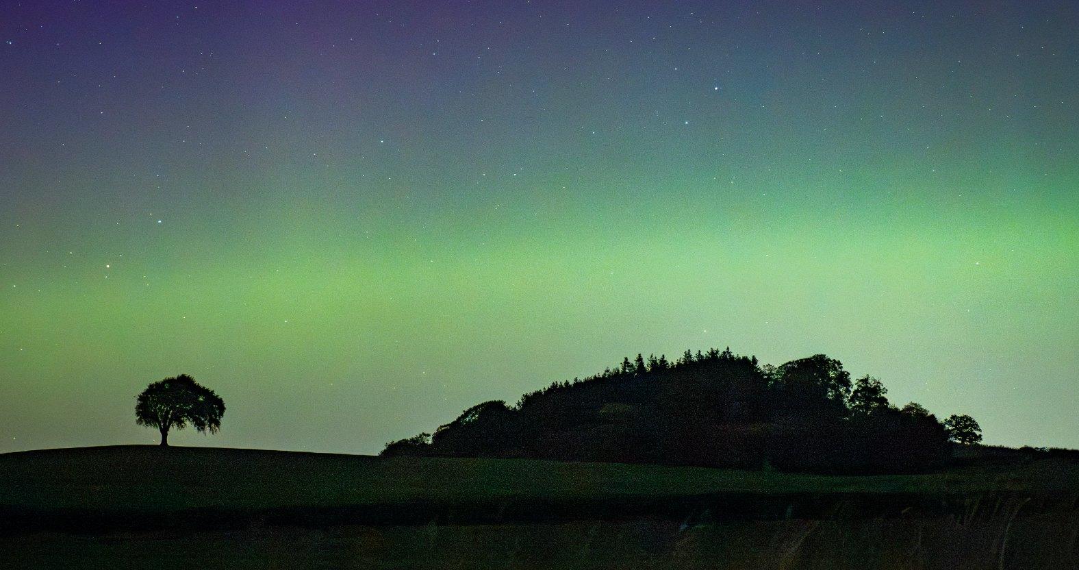 michellebray-northernlights
