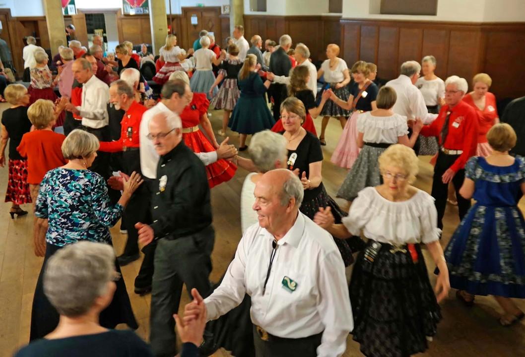 white-rose-squares-image