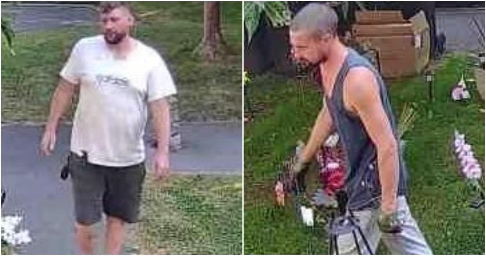 nyp-barbecuetheft-images